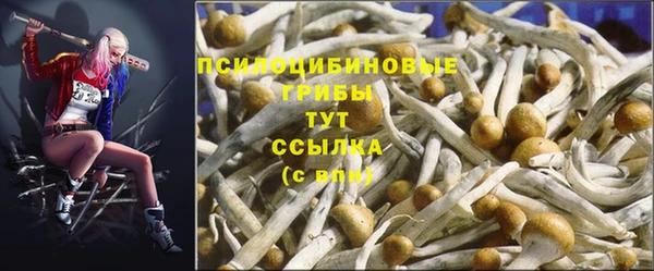 гидра Аркадак