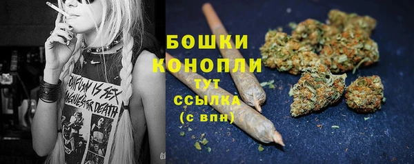 шишки Баксан