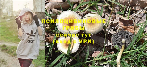 гидра Аркадак