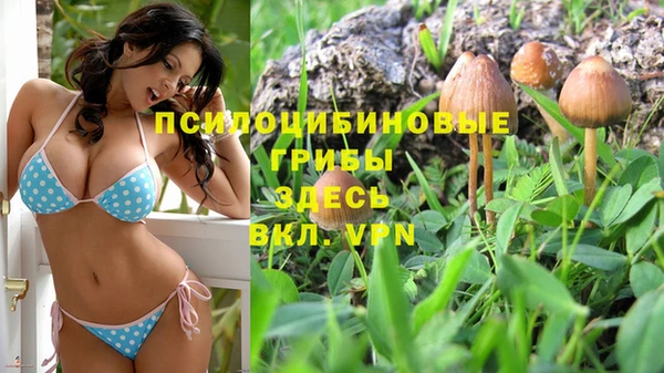 a pvp Армянск
